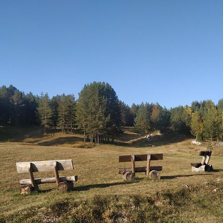 Vila Danida Bed & Breakfast Zabljak  Exterior photo